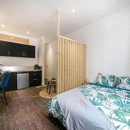 Apartment Spacieux Studio Renove